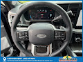 2025 Ford F-250SD Platinum