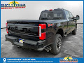2025 Ford F-250SD Platinum