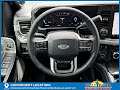 2025 Ford F-250SD Platinum